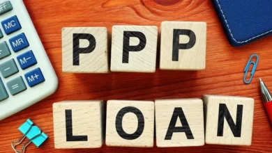 how to use the PPP Loan Lookup tool to verify loan details, ensure transparency, and understand the impact of PPP loans on businesses.